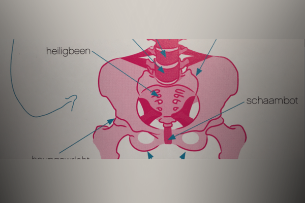 blog Sporten & Zwangerschap de zwangere zaak