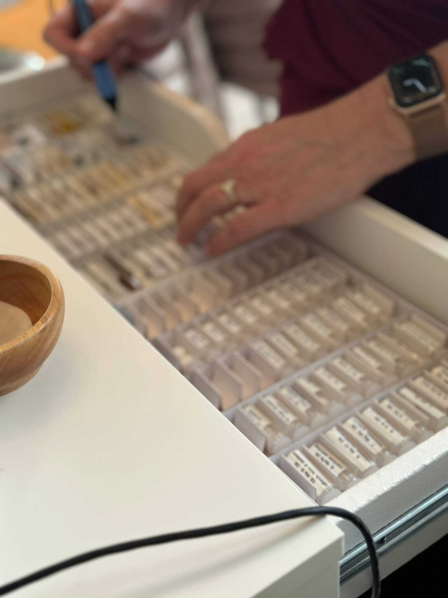 mesologie bij De Zwangere Zaak